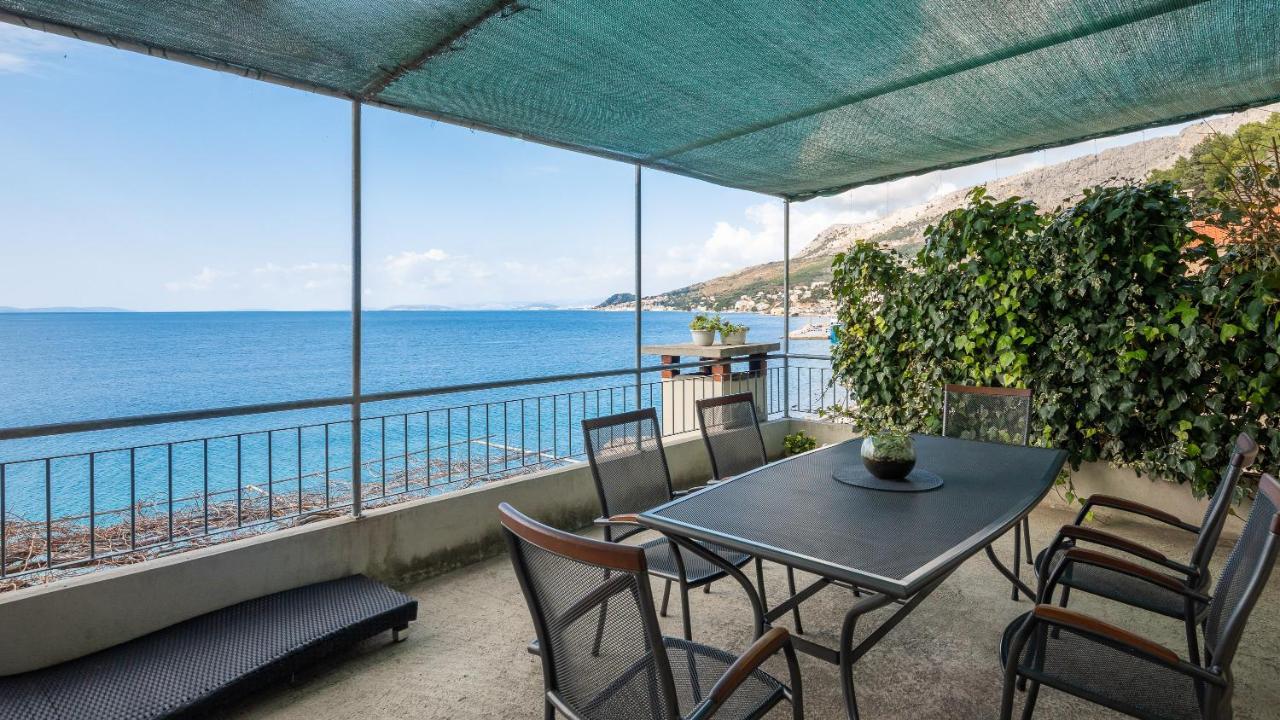 דוגי ראט Seaside Apartment Blue מראה חיצוני תמונה